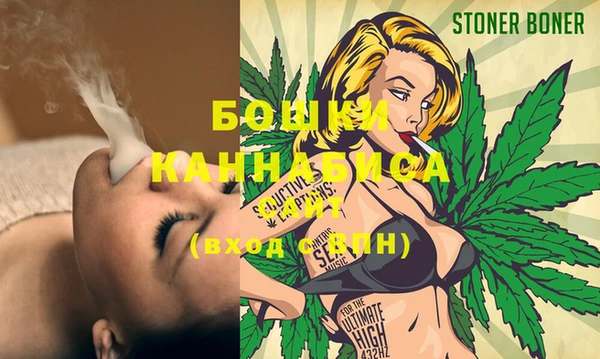 амф Няндома