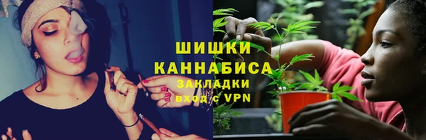 амф Нязепетровск