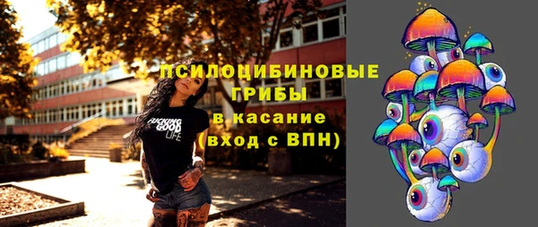 амф Няндома