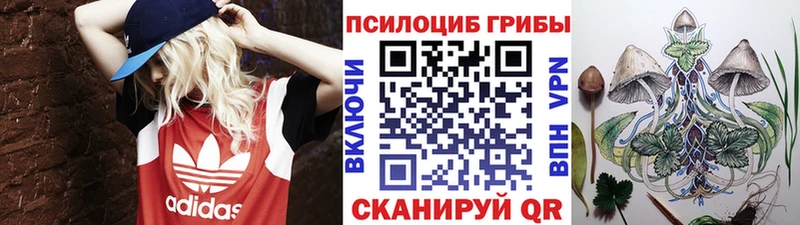 Галлюциногенные грибы мицелий  Котельнич 